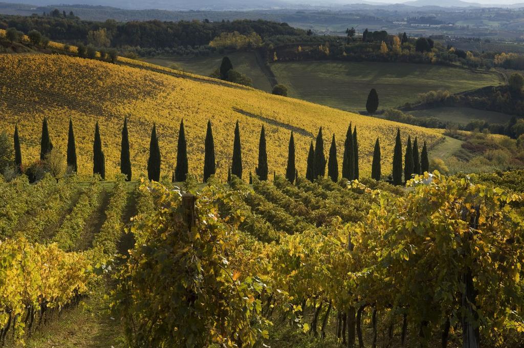 Agriturismo Campo Lungo San Donato in Poggio Pokój zdjęcie